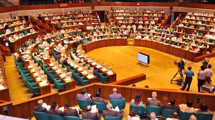 অপরাধী আটকের ক্ষমতা না দিয়েই আনসার বিল পাস