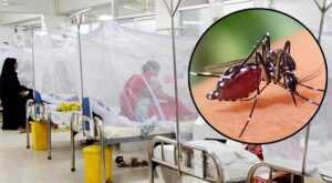 ডেঙ্গুতে মৃত্যু ১৫০০ ছুঁইছুঁই