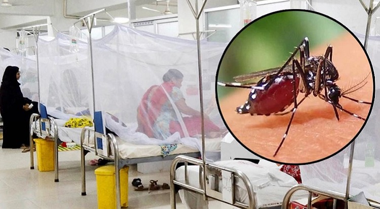 ডেঙ্গুতে মৃত্যু ১৫০০ ছুঁইছুঁই