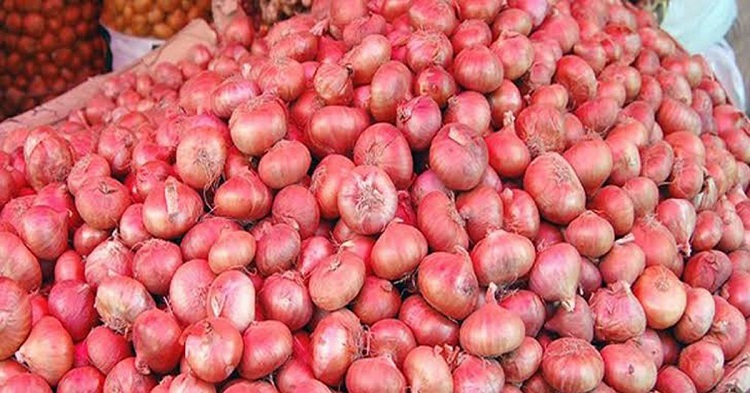 টিসিবির ৯০ মেট্রিক টন পেঁয়াজ বেনাপোলে ৫ দিনেও খালাস হয়নি, নষ্ট হওয়ার আশঙ্কা