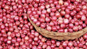 পেঁয়াজের দাম পাইকারি বাজারে কেজিতে প্রায় ১০০ টাকা কমেছে