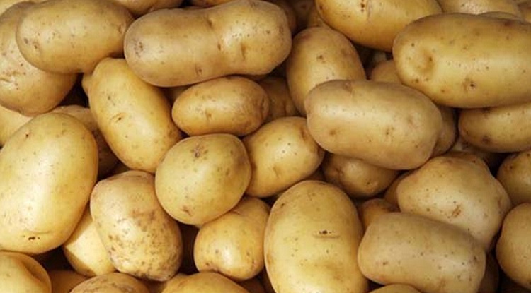 ভারত থেকে এলো ৭৪ মেট্রিক টন আলু