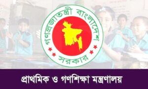 তাপমাত্রা ১০ ডিগ্রির নিচে থাকলে প্রাথমিক বিদ্যালয়ও বন্ধ হতে পারে