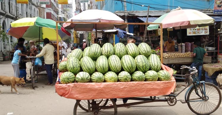 অর্ধেকে দামে তরমুজ, তবুও মিলছেনা ক্রেতা