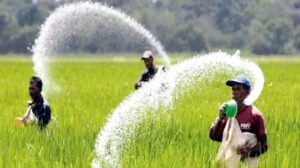কানাডা থেকে ২৫০০ কোটি টাকার সার আমদানির অনুমোদন