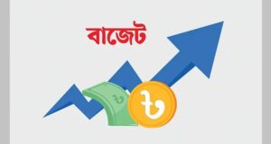 বাজেটে ব্যক্তি পর্যায়ের কর হার বাড়বে