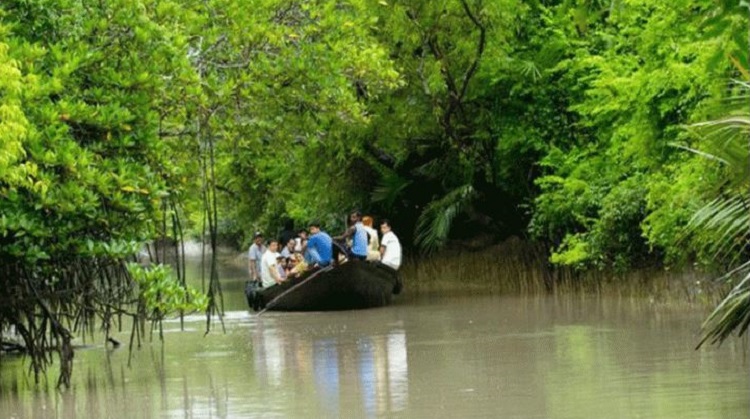 সুন্দরবনে রোববার থেকে বনজীবী ও পর্যটকরা যেতে পারবে